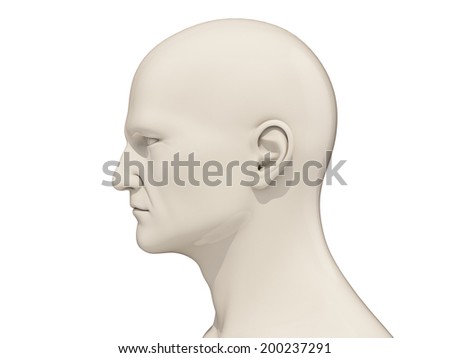 Human Head Side View Isolated On Stock Illustration 200237291