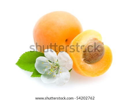 apricots