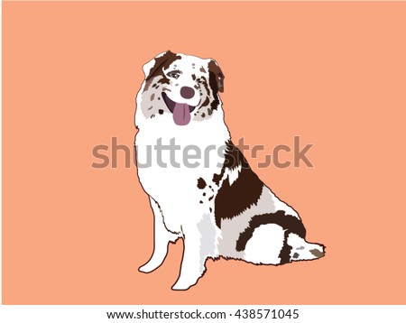 Australian Shepherd Cartoon Stock Vector 436975930 - Shutterstock