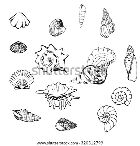 Sea Shells Icon Set Isolated On Stock Vector 241688635 - Shutterstock