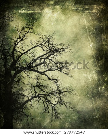 Scary Tree Stock Images, Royalty-Free Images & Vectors | Shutterstock