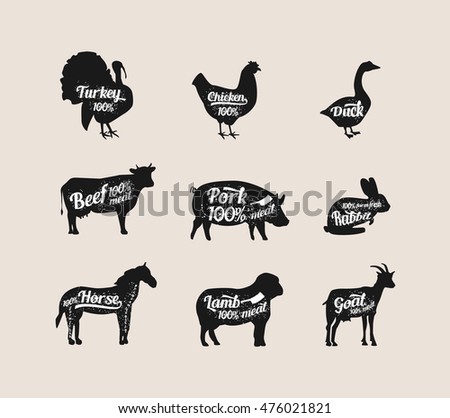 Set Butchery Logos Farm Animals Sample Stock Vector 382707559 ...
