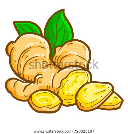 Cute Ginger Cartoon Style Vector Stock Vector 728826187 - Shutterstock