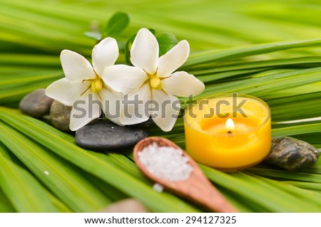 Various spa and green palm background