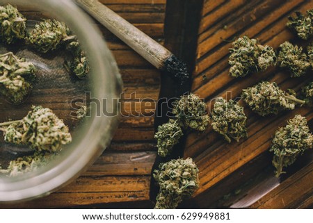 Bud Stock Images, Royalty-Free Images & Vectors | Shutterstock