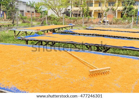 Tay Ninh chili shrimp salt (muoi tom), Vietnamese cuisine. Tay Ninh is famous for wholesale shrimp salt in Vietnam. This kind of salt is made of dried shrimp, then mixed with chili. It is quite spicy.