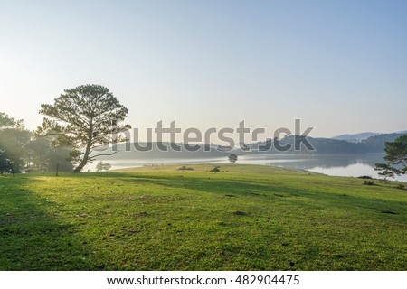 Nature at Suoi Vang lake, Dalat countryside, Vietnam, amazing wide grass in yellow morning, lake among pine forest, mountain far away, pine tree, wonderful scene for Da Lat, Viet Nam travel