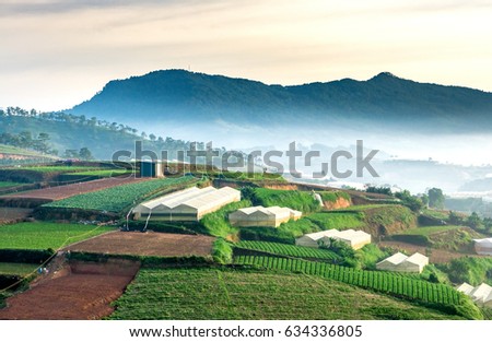 Vegetable fields and Housein highland, Dalat, Vietnam. Da lat is one of the best tourism city in Vietnam. Dalat city is Vietnam's largest vegetable and flowers growing areas.