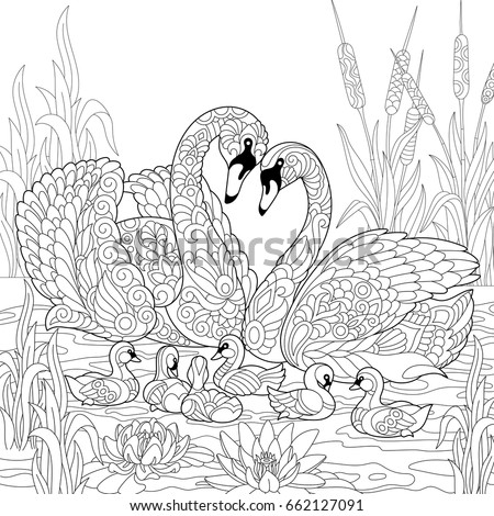 coloring book page of swan birds family lotus flowers and reed grass freehand sketch - Colouring Book Pages coloring book page of swan birds family lotus flowers and reed grass freehand sketch - Colouring Book Pages