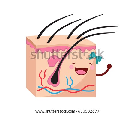epidermis stock photo images 1 157 epidermis royalty free images and photography available to healthy happy human anatomy illustration stock vector 630582677 epidermis stock photo images 1 157 epidermis royalty free images and photography available to healthy happy human anatomy illustration stock vector 630582677