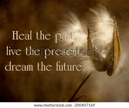 KellyNelson's Portfolio on Shutterstock KellyNelson's Portfolio on Shutterstock