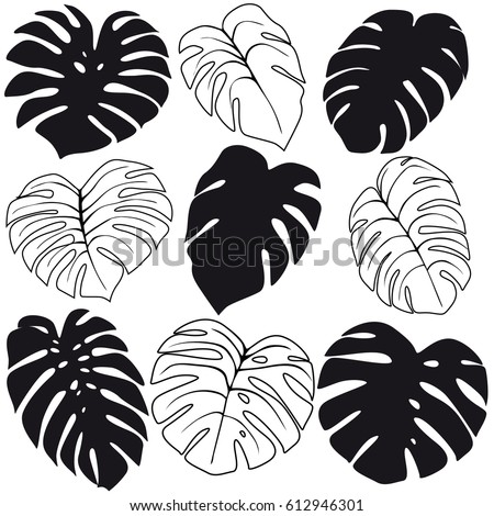 Set Tropical Leaves Silhouettes Isolated On Stock Vector 612946301 ...