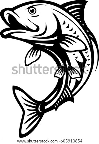 Fish Jump Stock Vector 605910854 - Shutterstock