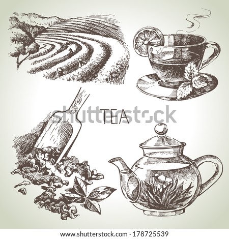 Hand drawn sketch vector tea set