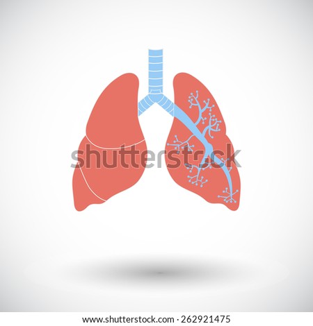 Lung Infographic Stock Vector 130541387 - Shutterstock