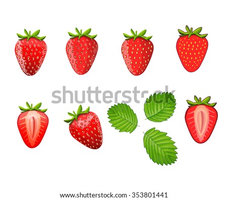 Set of strawberries. Different styles of strawberries illustrations. Can be used in your own design, illustration, appearance and etc.