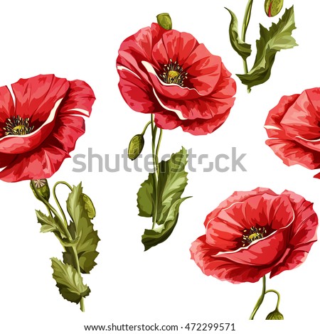 of wedding flowers symbol pattern flowers. Seamless background Vector Poppy poppy flowers. of