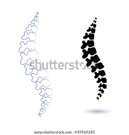 Human spine isolated on a white background. Vector illustration. Black and white silhouette spine diagnostic symbol, design, sign. Diagnostic center vector human spine silhouettes Spine.