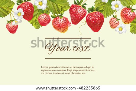 Vector strawberry horizontal banner. Design for tea, natural cosmetics, beauty store, dessert menu, organic health care products, perfume, aromatherapy. With place for text