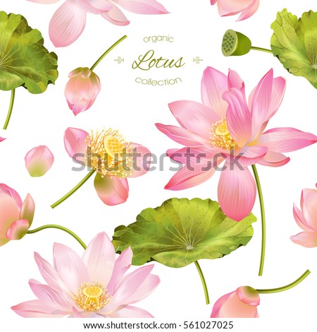 Vector botanical seamless pattern with pink lotus flowers. Background design for natural cosmetics, health care and ayurveda products, yoga center. Best for wrapping paper