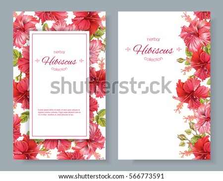 stock vector vector red tea vertical banners with hibiscus flowers on white background botanic frame design 566773591