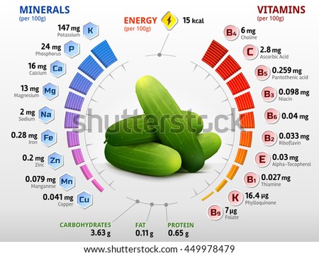 Vitamins and minerals of cucumber fruit. Infographics about nutrients in cuke with peel. Qualitative vector image for cucumber, agriculture, veggies, cooking, farming, gastronomy, olericulture, etc