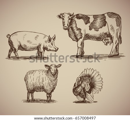 Farm Animals Sketch Style Compilation Vector Stock Vector 657008497 ...