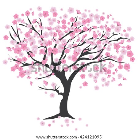 Vector Cherry Blossom Branches Pink Flowers Stock Vector 61631686 ...