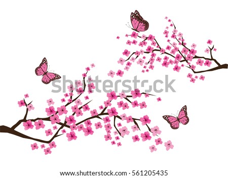 vector illustration of cherry blossom branch