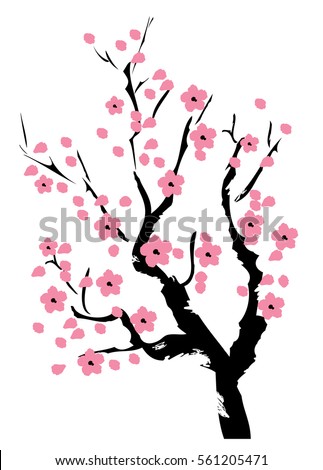 cherry tree vector blossom tree stock images royalty free images vectors cherry tree vector blossom tree stock images royalty free images vectors