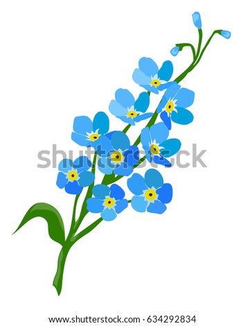 Vector Illustration Forget Me Not Flower เวกเตอร์สต็อก (ปลอดค่า