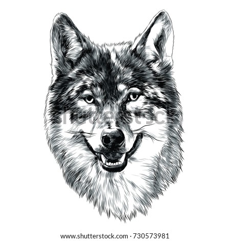 Wolf Head Watercolor Wolf Head Front Stock Illustration 316505594 ...