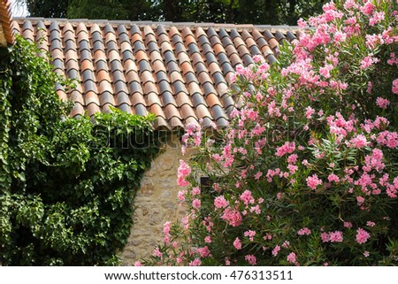 house flowers stock images, royalty-free images & vectors house flowers stock images, royalty-free images & vectors