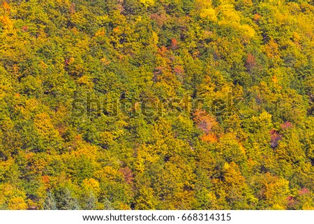 Shades Of Yellow Names shades of yellow. finest with shades of yellow. fabulous circle Shades Of Yellow Names shades of yellow. finest with shades of yellow. fabulous circle