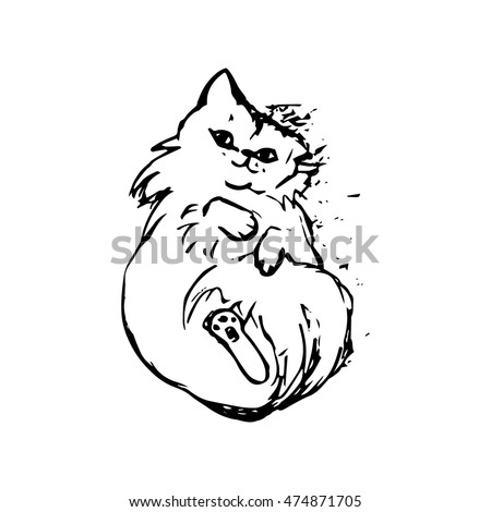 Cat Tail Stock Images, Royalty-Free Images & Vectors | Shutterstock