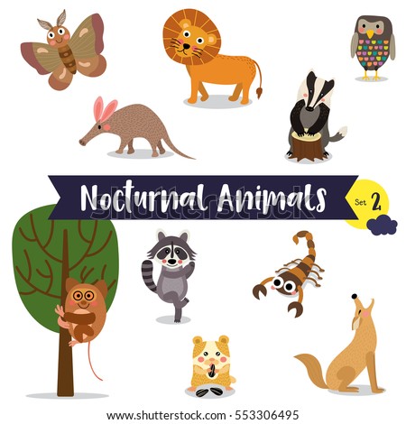 stock vector nocturnal animals cartoon on white background set 553306495