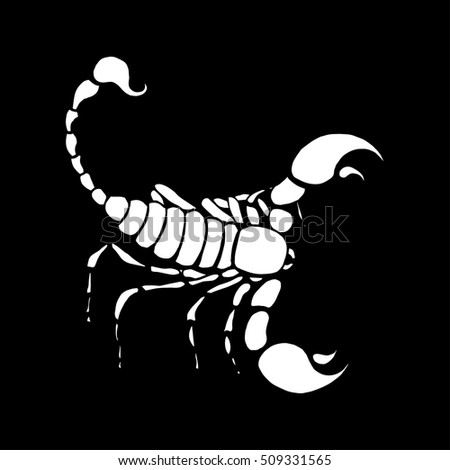 Scorpio Stock Photos, Royalty-Free Images & Vectors - Shutterstock