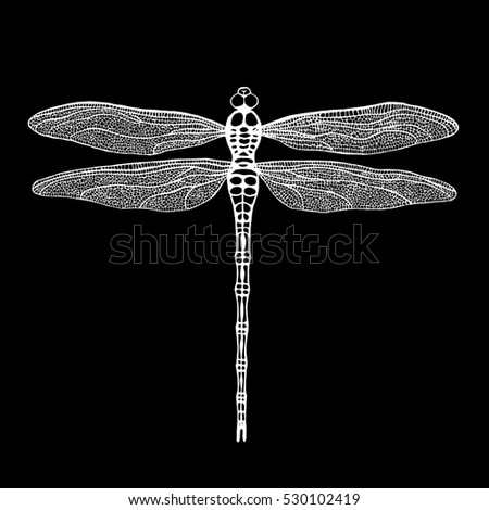 Dragonfly White Dragonfly On Black Background Stock Vector 525432466