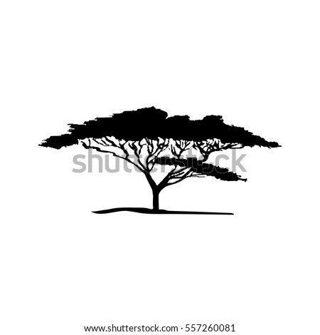 African Tree Stock Images, Royalty-Free Images & Vectors | Shutterstock
