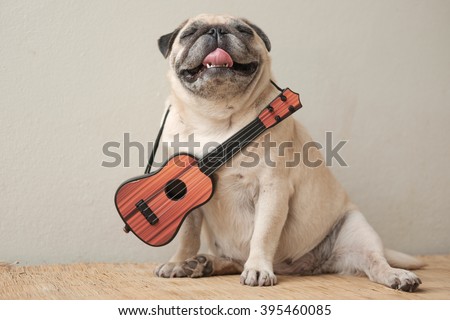 pug filter stock images royalty free images vectors pug filter stock images royalty free images vectors