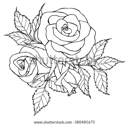 Rose Adult Coloring Books Bendon Coloring Pages