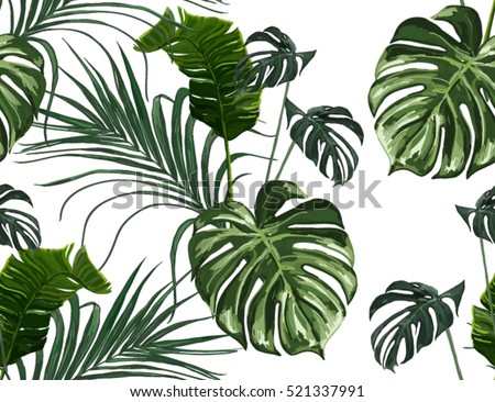 Download Wallpaper Daun Monstera Wallpaper Papan