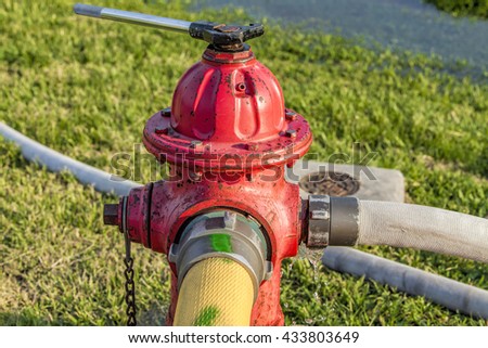 Fire Hydrant Stock Images, Royalty-Free Images & Vectors | Shutterstock