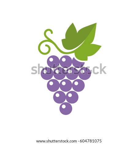 Grapes icon. Vector illustration of simple color grape with leaf, isolated on white.