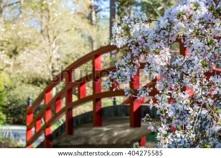 Japanese Garden Cherry Blossom Bridge japanese garden stock images, royalty-free images & vectors Japanese Garden Cherry Blossom Bridge japanese garden stock images, royalty-free images & vectors