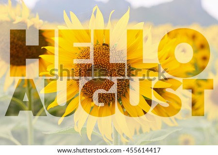 Hello AUGUST word on sunflower background