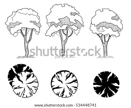 Architecture Drawing Trees architectural trees stock images, royalty-free images & vectors Architecture Drawing Trees architectural trees stock images, royalty-free images & vectors