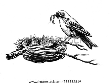 Baby Birds Nest Retro Clip Art Stock Vector 58689664 - Shutterstock