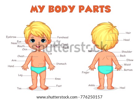 My Body Parts Boy Illustration Kids Stock Vector (Royalty Free
