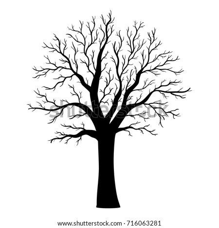 Vector Silhouette Tree Branches Cron Isolated Stock Vector 10938928 ...
